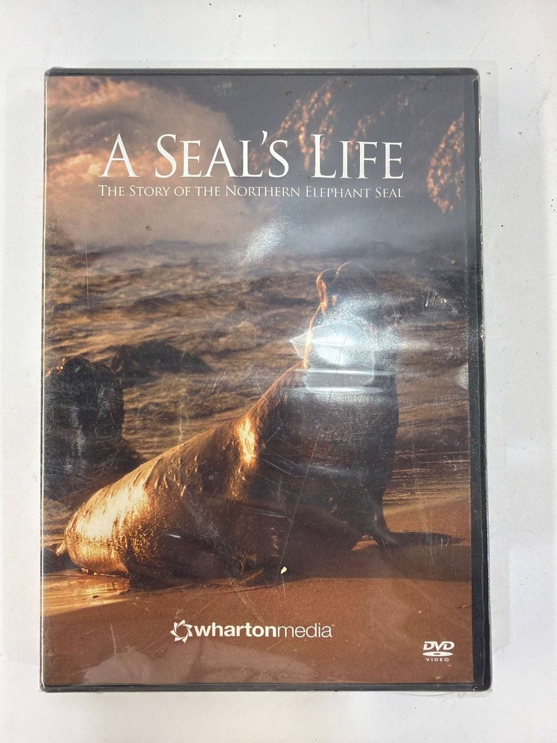 Vintage A Seal's Life The Story of the Northern Elephant Seal DVD Wharton Media