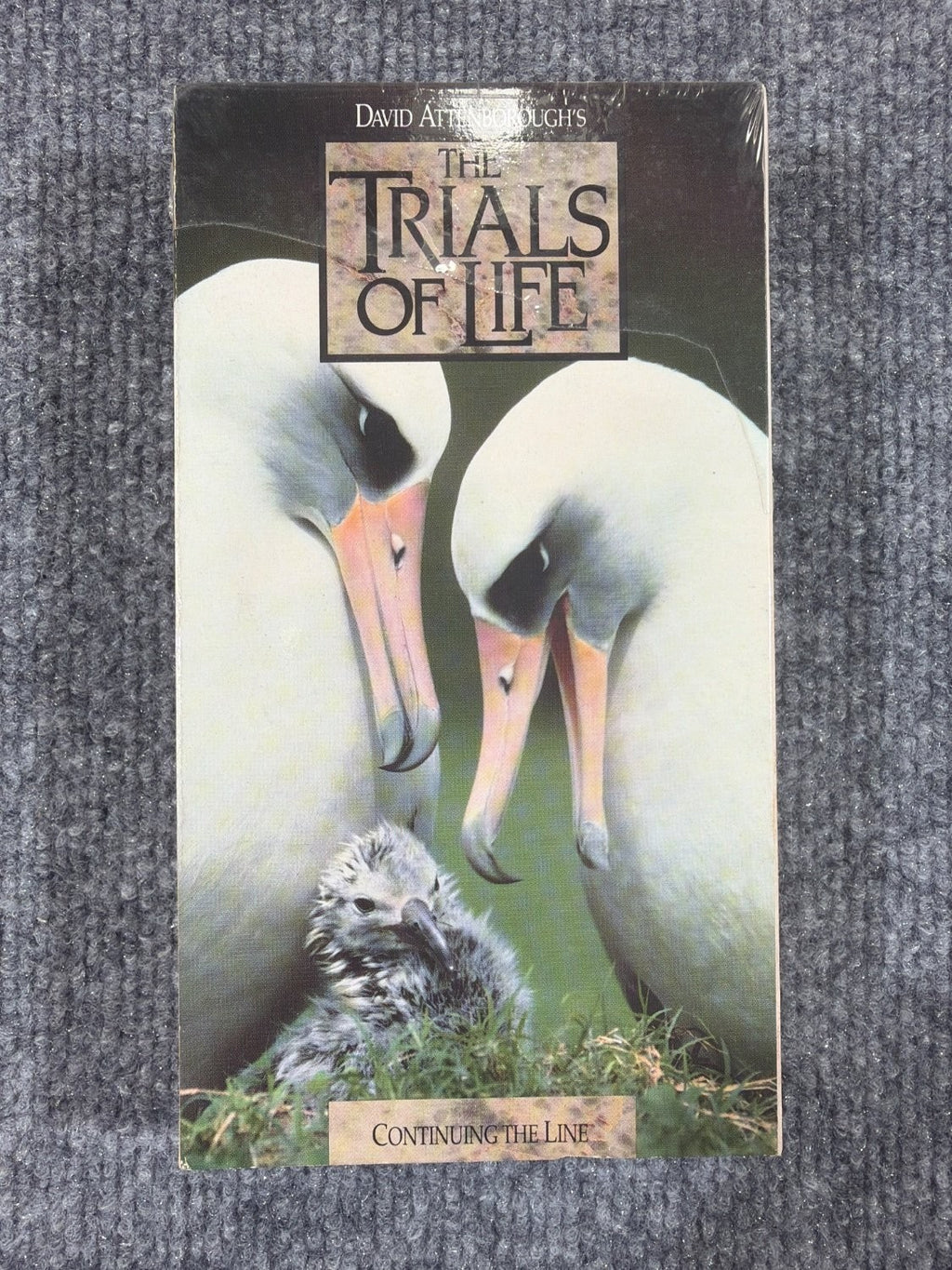 Vintage David Attenborough The Trials of Life Continuing the Line VHS Time Life