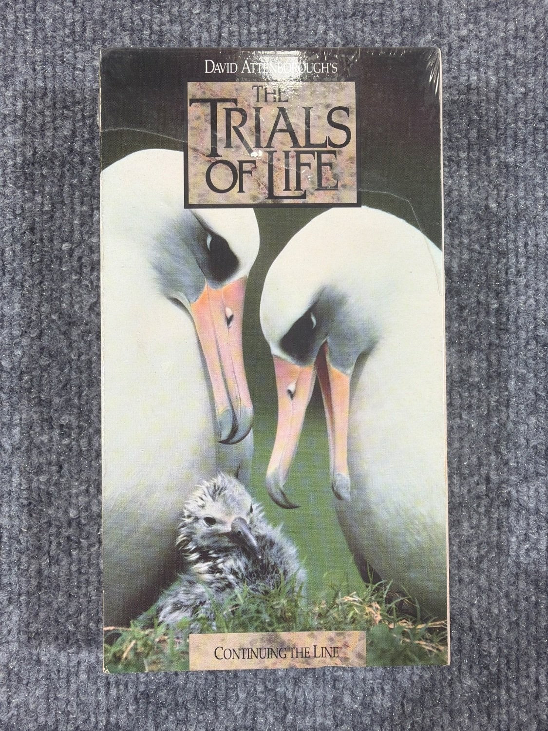 Vintage David Attenborough The Trials of Life Continuing the Line VHS Time Life
