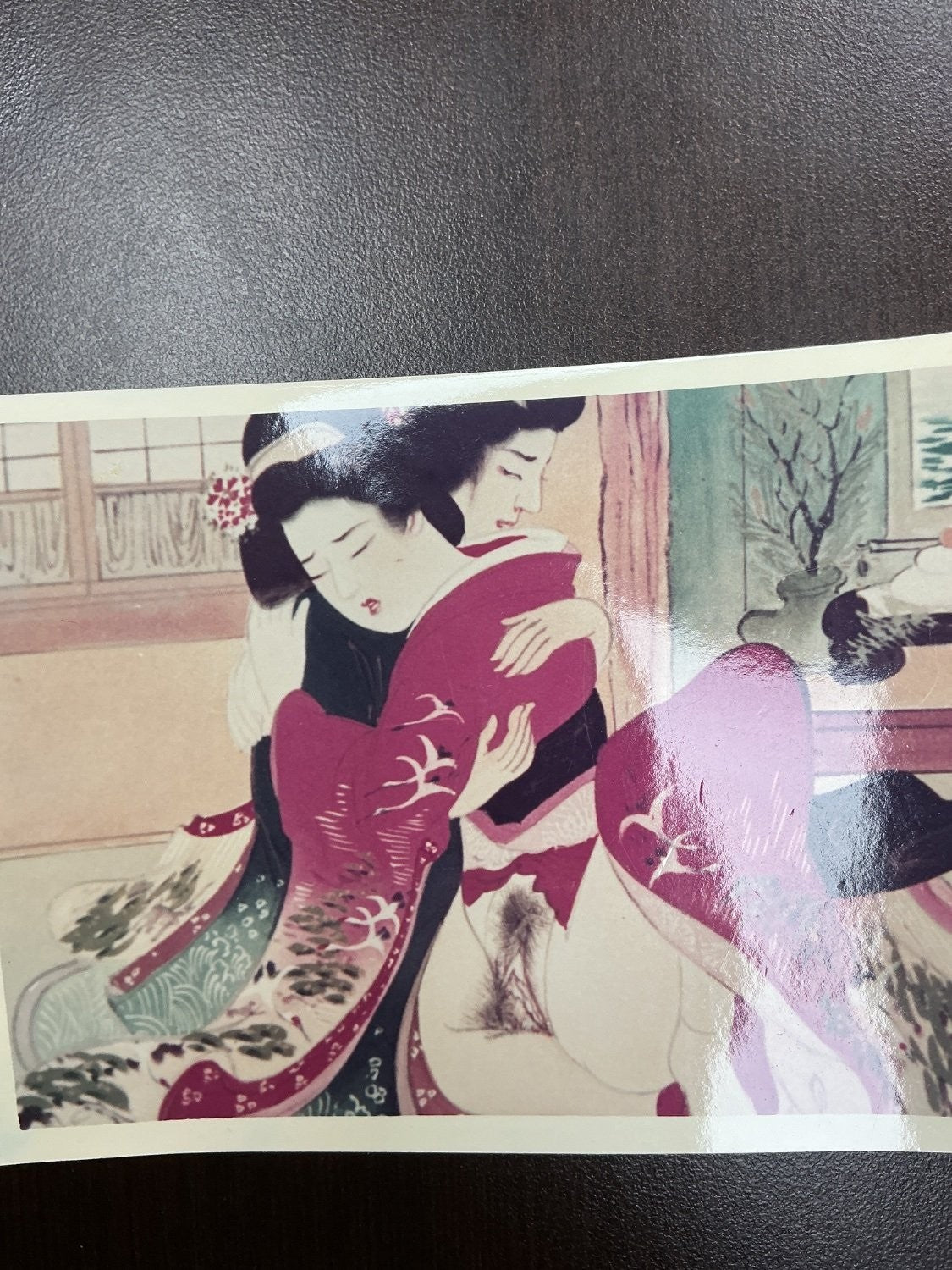 Fujicolor Japanese Shunga Erotica Print Photograph 4 X 6 in Multicolor Woodblock