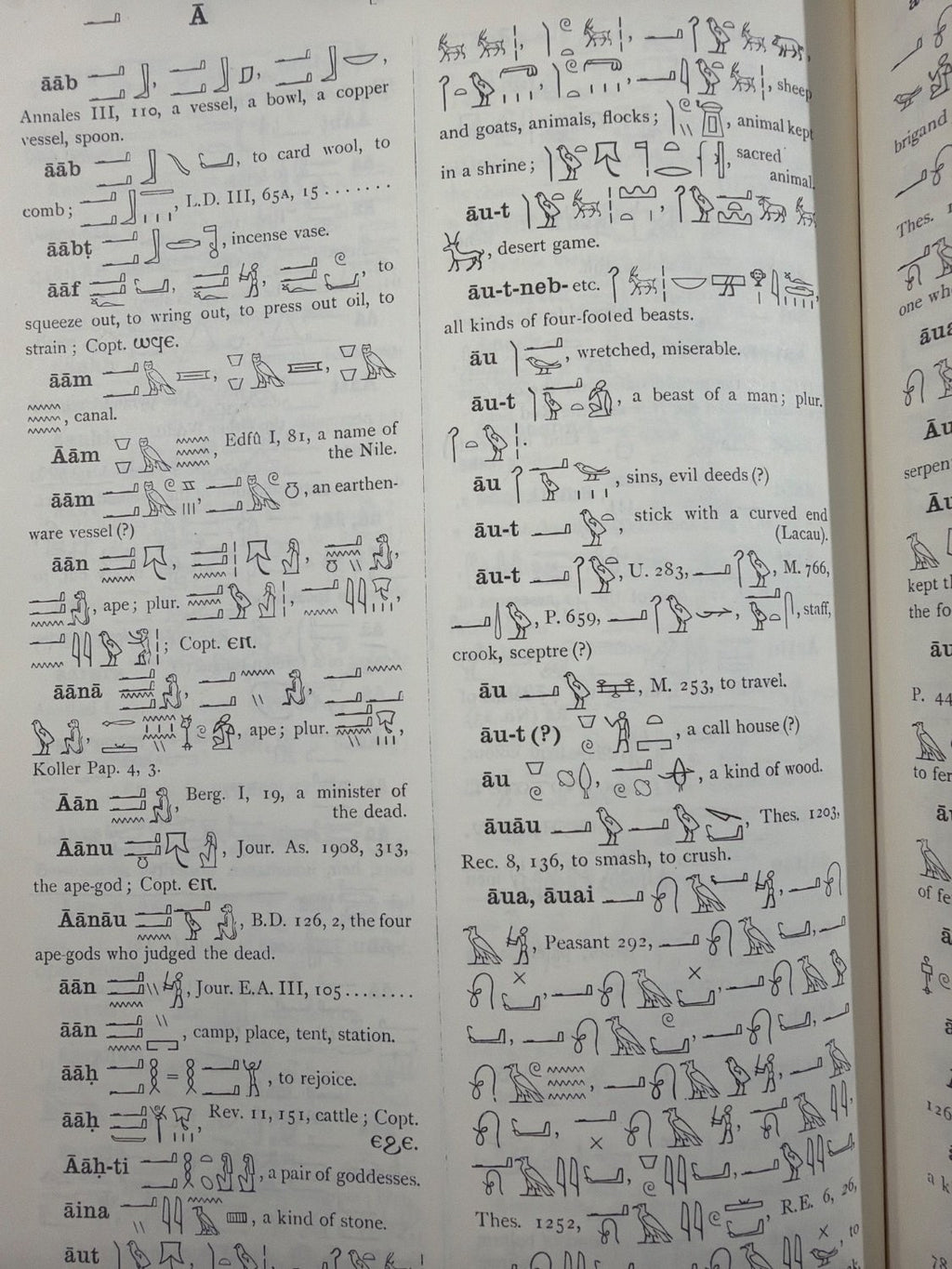 Vintage An Egyptian Hieroglyphic Dictionary E. A. Wallis Budge Vol 1 Dover