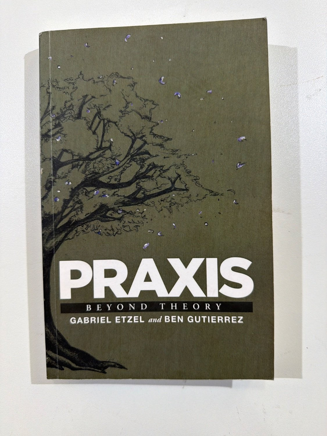 Vintage Praxis Beyond Theory Gabriel Etzel Ben Gutierrez Paperback 2012 Theology