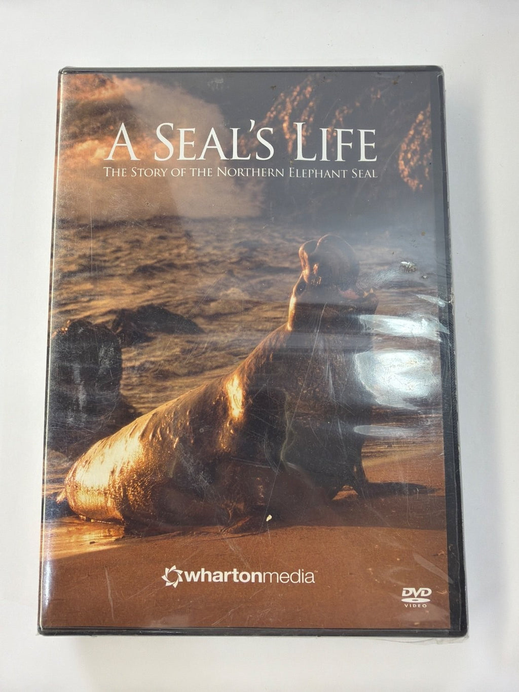 Vintage A Seal's Life The Story of the Northern Elephant Seal DVD Wharton Media