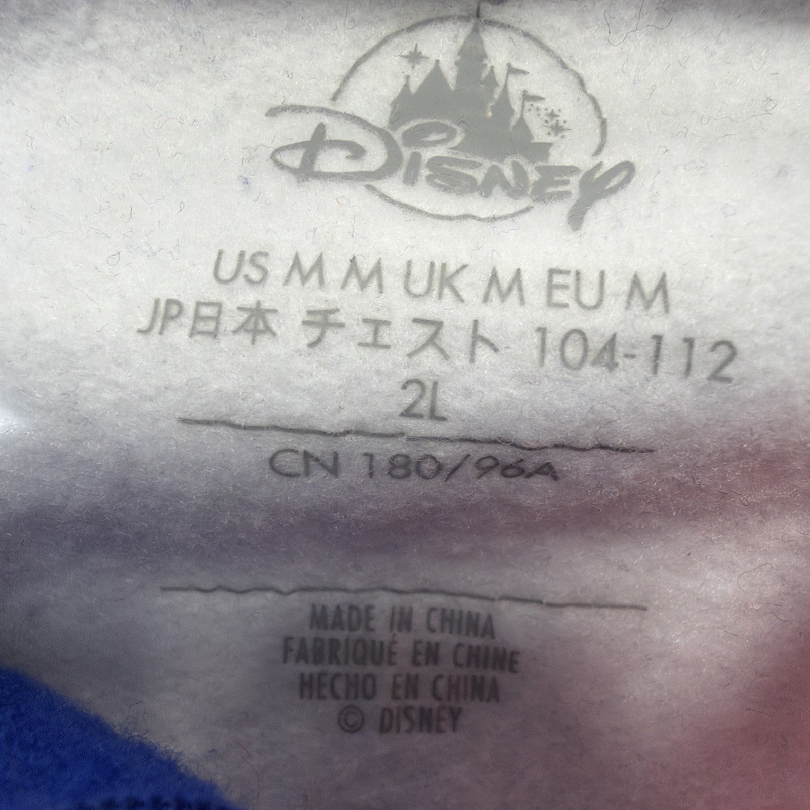 Disneyland Resort 2021 Graphic Hoodie Jacket Unisex 2L Multicolor Zip Closure
