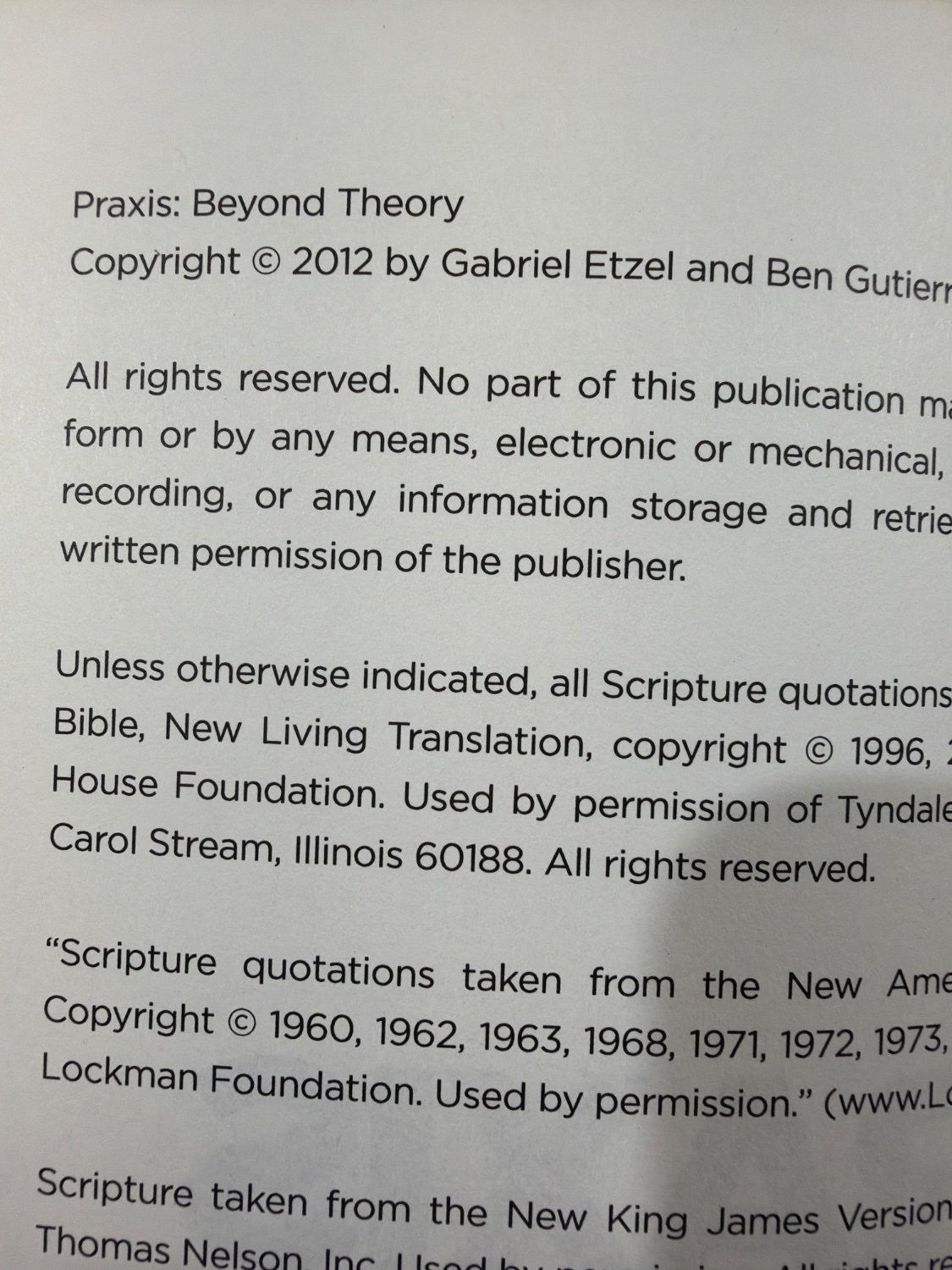 Vintage Praxis Beyond Theory Gabriel Etzel Ben Gutierrez Paperback 2012 Theology