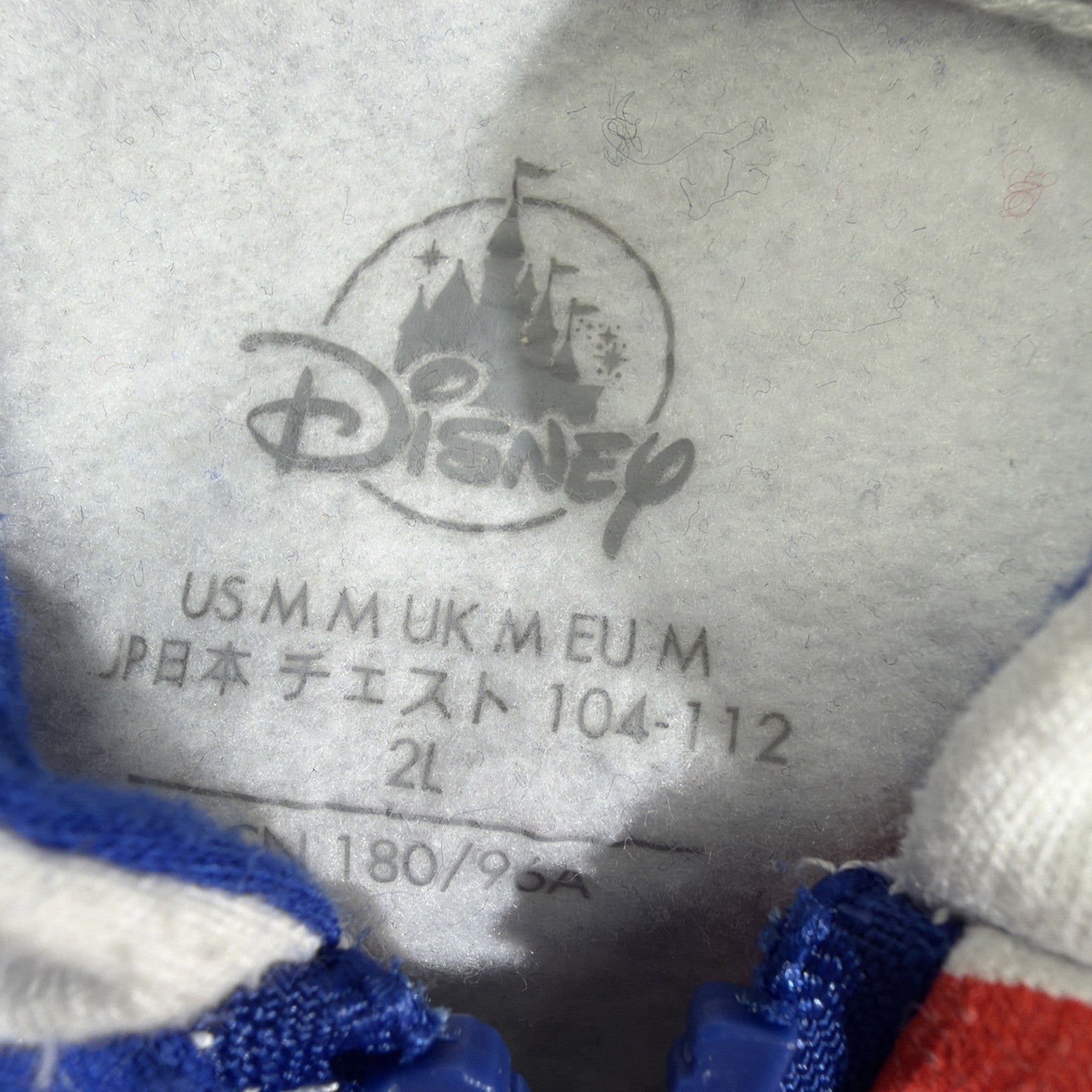 Disneyland Resort 2021 Graphic Hoodie Jacket Unisex 2L Multicolor Zip Closure