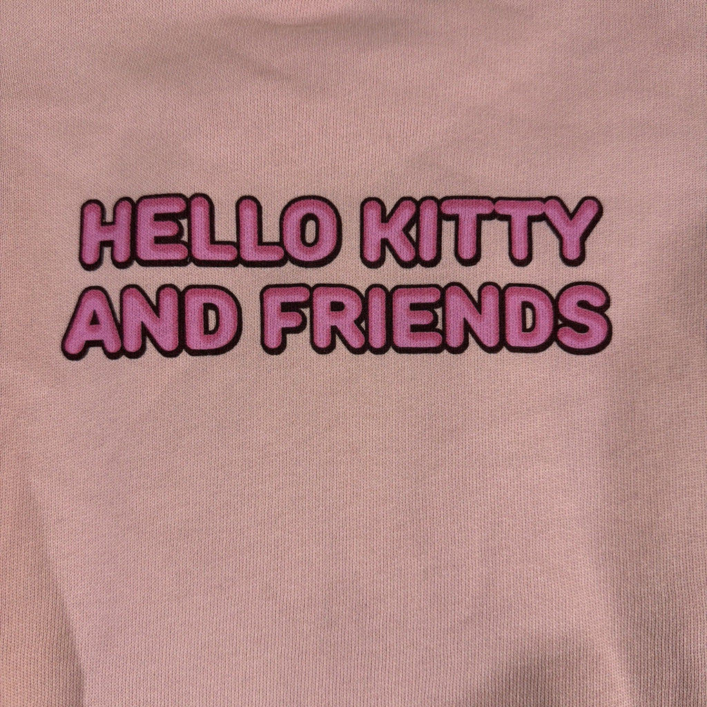 ZARA Hello Kitty and Friends Pink Graphic Pullover Sweatshirt Girls Size 8-9