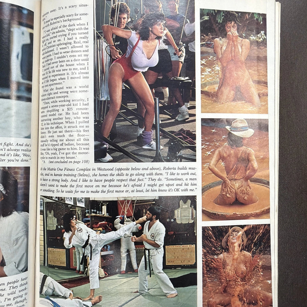 Playboy Magazine Nov 1984 Cover: Christie Brinkley Playmate: Roberta Vasquez
