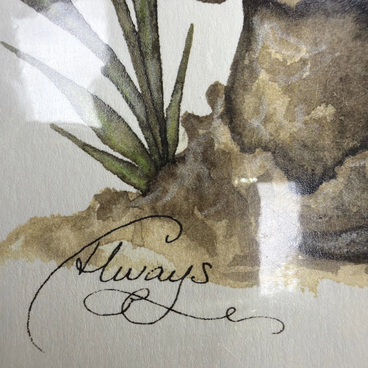 Amy Brown - Always - OUT OF PRINT